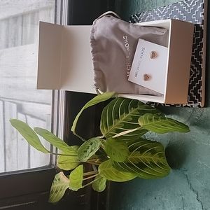 New Michael Kors rose gold heart earrings